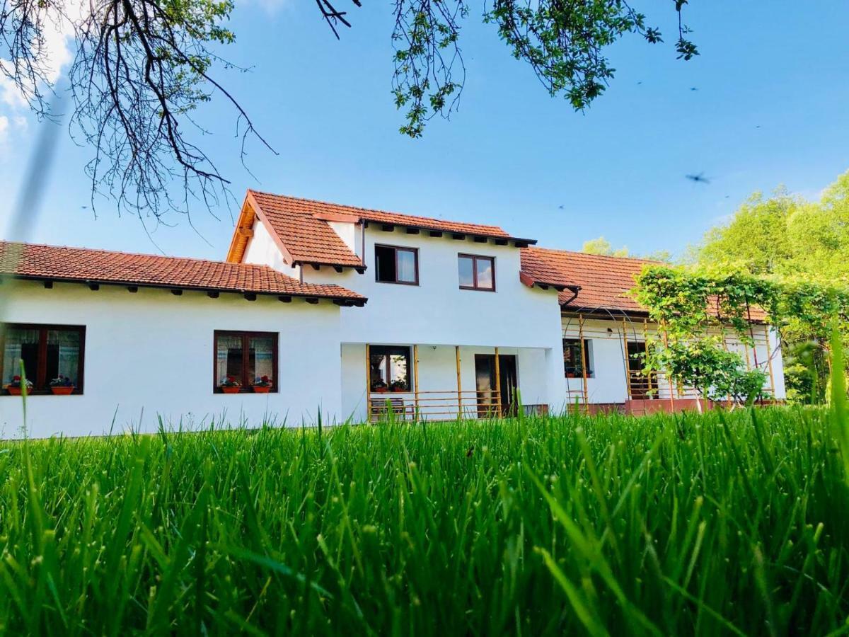 Pensiunea Aer De Munte Recea  Exterior photo